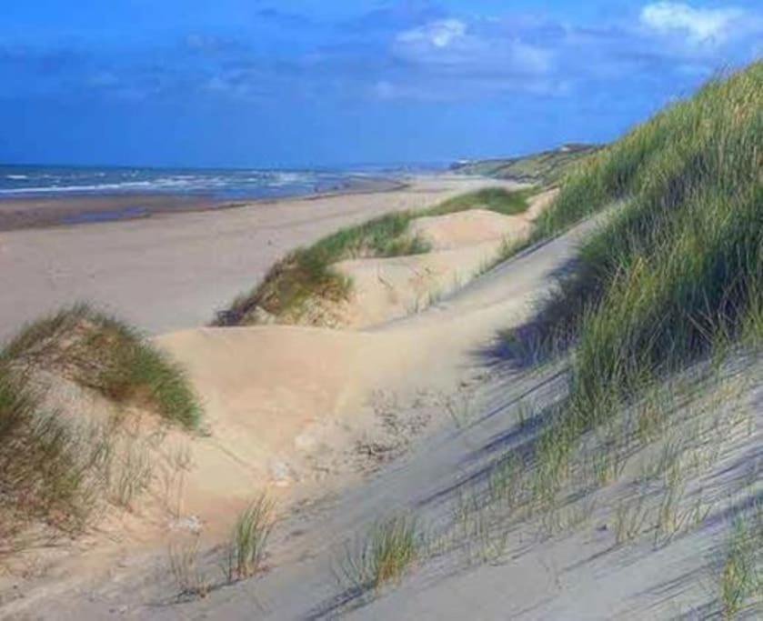 Jolie Maison Sur Golf, Proche Plage, Fort-Mahon エクステリア 写真